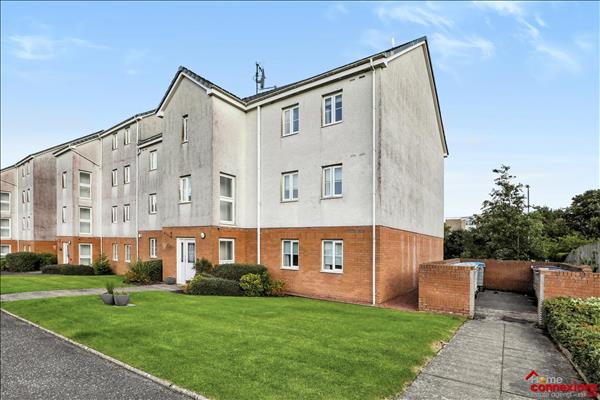 Avondale Grove, Avondale